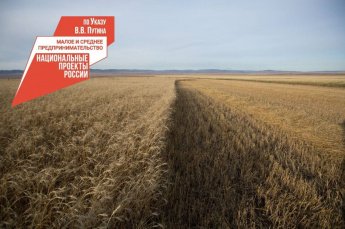 Фермеры Бурятии могут получить консультации по ведению электронного бюджета