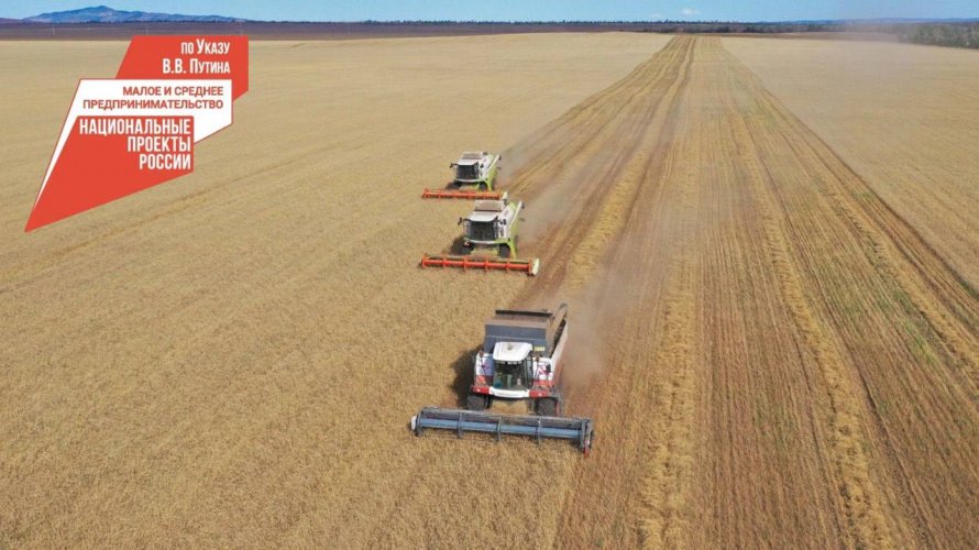 В Бурятии стартовал прием заявок на грант «Агростартап-2024»