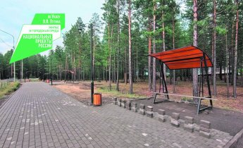 Благоустроен парк отдыха  «Лукоморье»