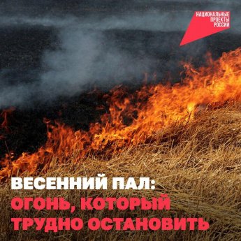 Из-за весенних палов растёт риск пожаров.