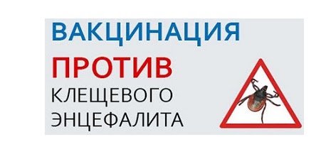 Вакцинация против клещевого энцефалита